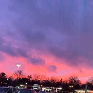 Meet your Posher, Delaney